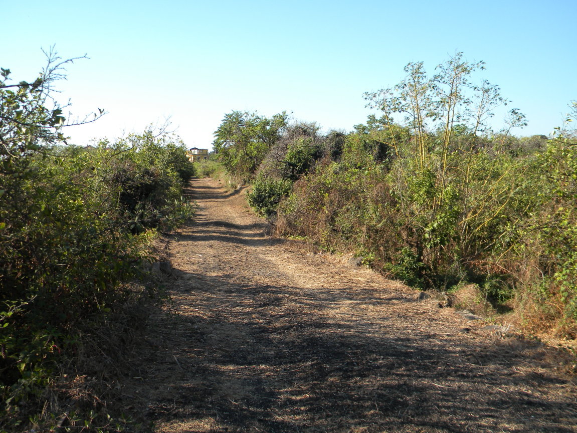 DSCN8068 .JPG
